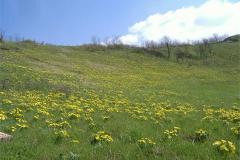 DSCF0808