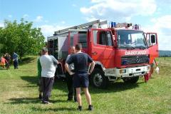 falunap06-060