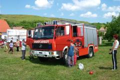 falunap06-062
