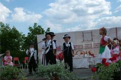 falunap06-077