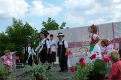 falunap06-078
