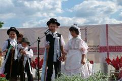 falunap06-081