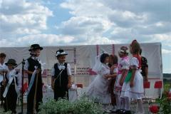 falunap06-083