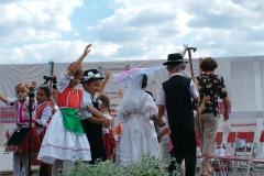 falunap06-085