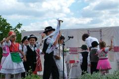 falunap06-088