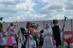 falunap06-089
