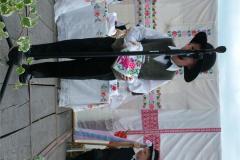 falunap06-096