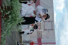 falunap06-105