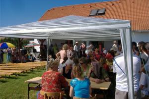Falunap 2010
