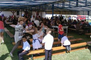 Falunap 2014