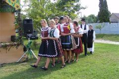 2012_07290166