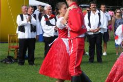 2012_07290233